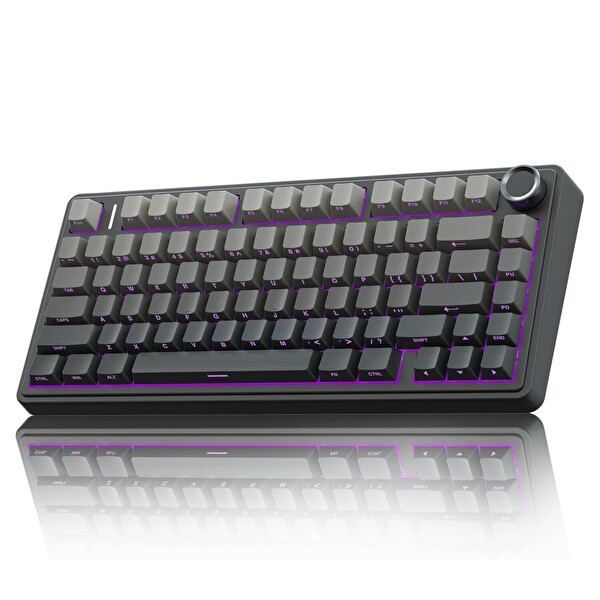 Aula F75 Mekanik RGB TKL Reaper Dönüştürücü Kablosuz Makrolu Oyuncu Klavye Gradyan Gri