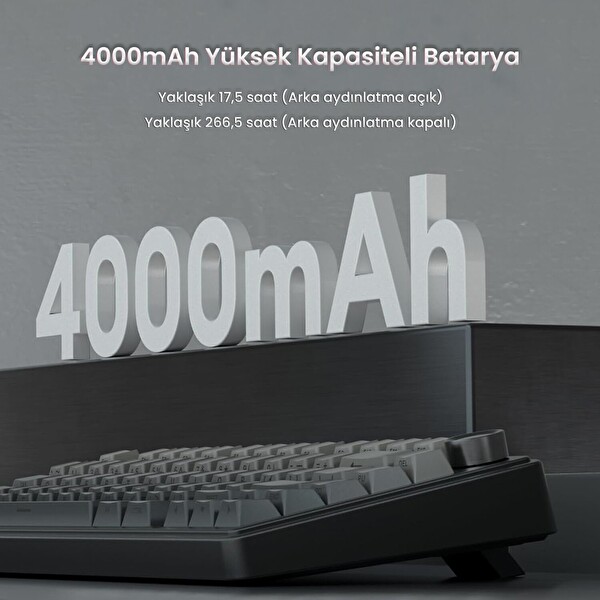 Aula F75 Mekanik RGB TKL Reaper Dönüştürücü Kablosuz Makrolu Oyuncu Klavye Gradyan Gri