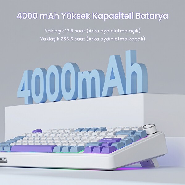 Aula F75 Mekanik RGB TKL Yıldız Vektör Anahtarlı Kablosuz Makrolu Hot Swap Klavye Mor