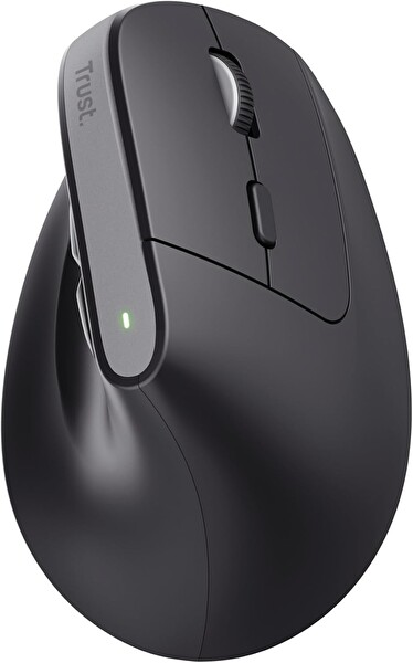 Trust Bayo Siyah Ergonomik Kablosuz Mouse