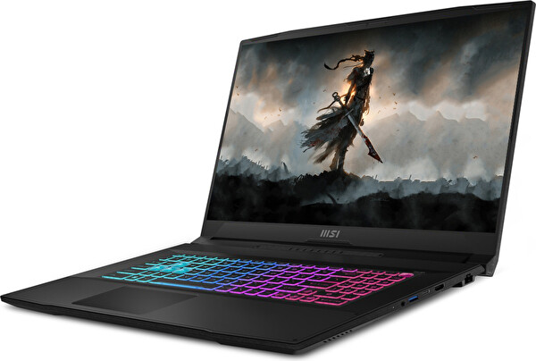 MSI Katana 17 Hx B14WFK-215XTR I7-14650HX 80 GB RAM 4 TB SSD 8GB RTX5060 17.3
