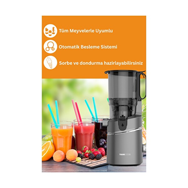 Tigrecook Slow Juicer Yavaş Sıkım Katı Meyve Sıkacağı Sorbe ve Dondurma Aparatlı