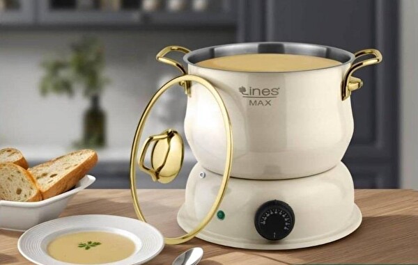 Lines 10 L Techcehef Elektrikli Çok Amaçlı Pişirici - Altın