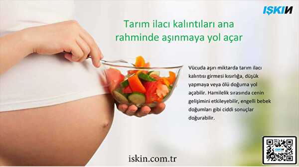 Işkın Gıda Dezenfekte Makinesi