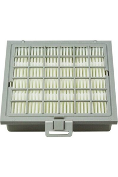 Ergomax Ergomaxx Bsg 82515 Bsg 80000 89999 Hepa Filtre