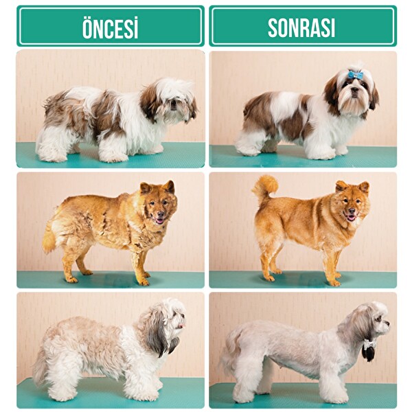 Inse P20 Evcil Hayvan Bakım Seti Kedi ve Köpek Tıraş Makinesi - Vakumlu Tarama ve Temizleme Seti