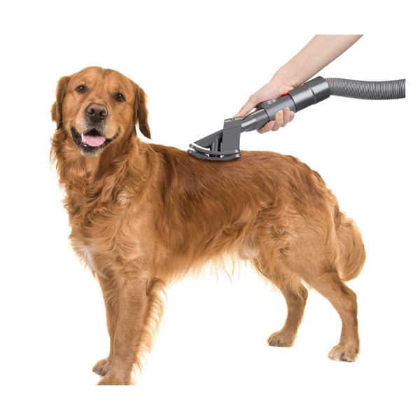 Filterhauz Dyson V11 Uyumlu Pet Başlığı Evcil Hayvan Bakım Aparatı