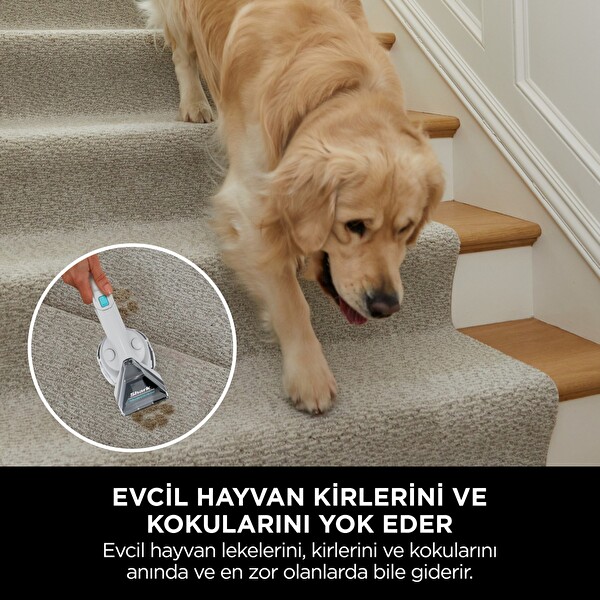 Stainstriker PX200EUT Taşınabilir Halı ve Koltuk Temizleme Makinesi