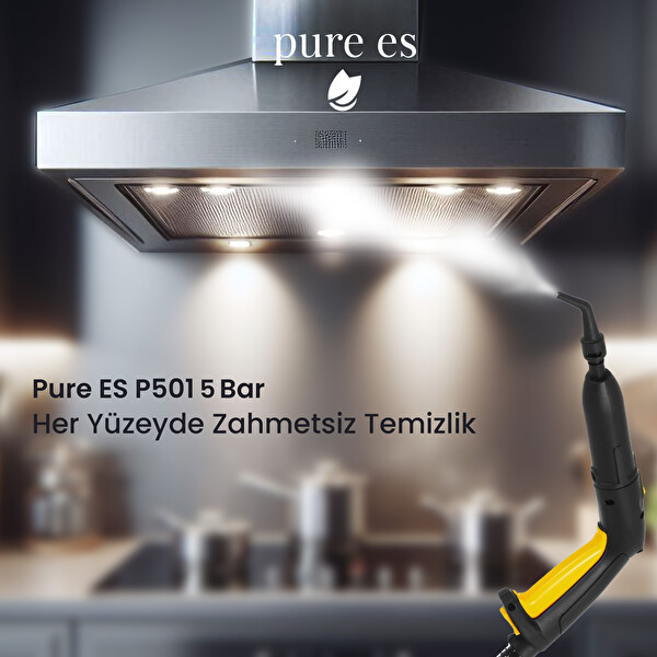 Pure Es P501 Yüksek Basınçlı Buharlı Temizleyici Gri