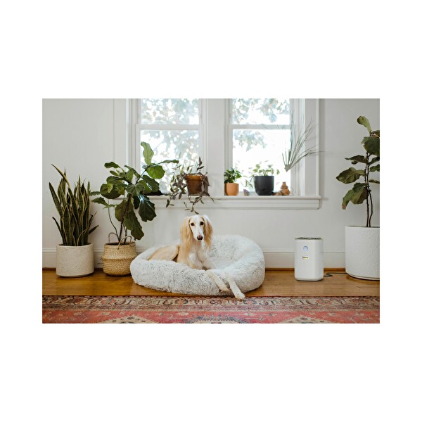 Karcher AF 20 Hava Temizleme Makinesi