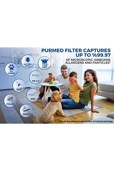 Purmed Electrolux Pure 500 EPO50351SW Uyumlu Hepa ve Karbon Filtre