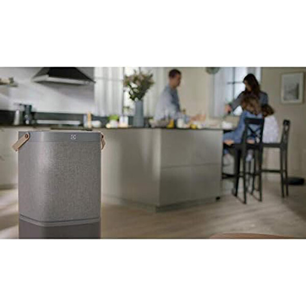 Electrolux EFDCLN4E Clean360 PureA9 ve PureA9.2 Hava Temizleyici Filtresi