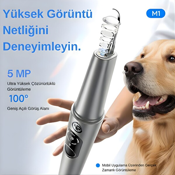 NPO M1 5MP Kameralı UV'li 5 Modlu Ultrasonic Tartar Plak PET Diş Temizleme Cihazı