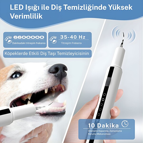 NPO T7 5 Modlu Ultrasonic Tartar Plak PET Diş Temizleme Cihazı