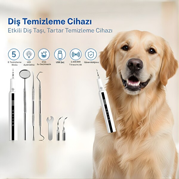 NPO T7 5 Modlu Ultrasonic Tartar Plak PET Diş Temizleme Cihazı