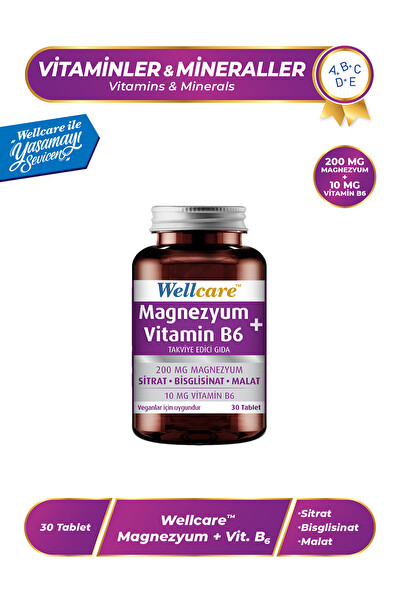 Wellcare Magnezyum + Vitamin B6 Takviye Edici Gıda 30 Tablet