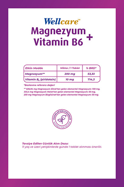 Wellcare Magnezyum + Vitamin B6 Takviye Edici Gıda 30 Tablet