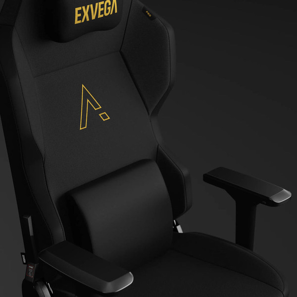 Exvega Andromeda Pro Gold Oyuncu Koltuğu Siyah