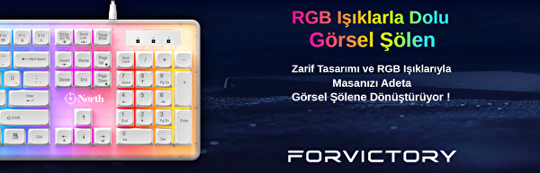 North Paladin Mekanik Hisli Türkçe RGB Beyaz Gaming Oyuncu Klavyesi