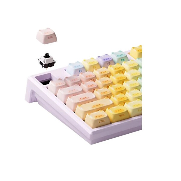 Akko MONSGEEK MG108B Colorful Cats RGB Kablosuz Hotswap Mekanik Gaming Klavye