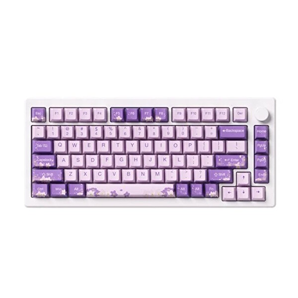 Akko MOD 007 HE PC Purple Melody Hall Effect Manyetik Switch RGB Hotswap Mekanik Gaming Klavye