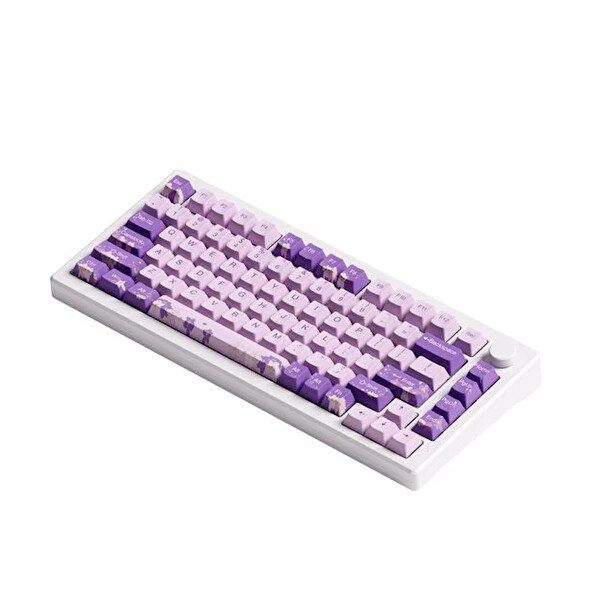 Akko MOD 007 HE PC Purple Melody Hall Effect Manyetik Switch RGB Hotswap Mekanik Gaming Klavye