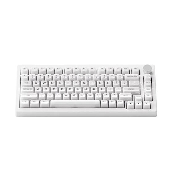 Akko 5075B Plus Shine-Through RGB Kablosuz Hotswap Mekanik Gaming Klavye