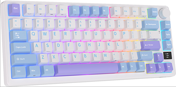 Royal Kludge M75 75% Kablosuz US Gaming Mekanik Klavye Beyaz Mavi