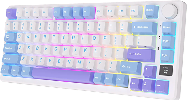 Royal Kludge M75 75% Kablosuz US Gaming Mekanik Klavye Beyaz Mavi