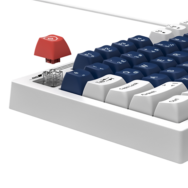 Everest KB-98 Silent Mavi Beyaz Kırmızı Ledli Rainbow Q Membrane Oyuncu Klavyesi
