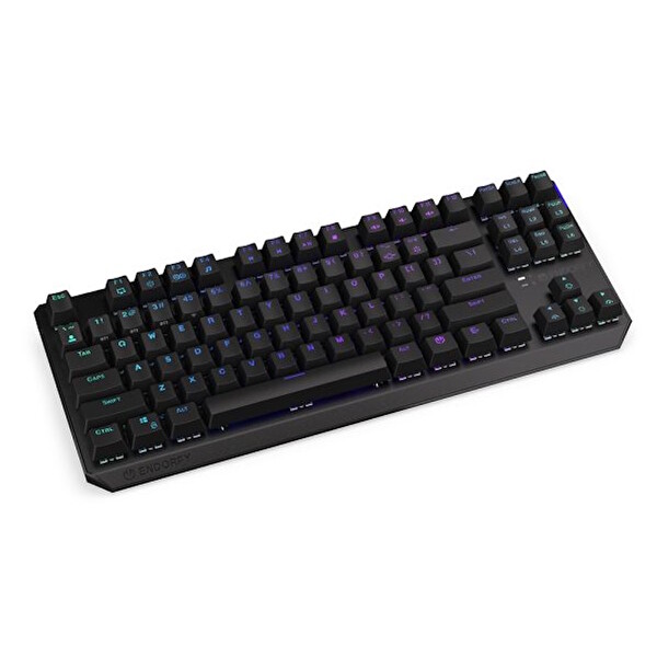 Endorfy EY5A081 Thock Wireless TKL Kailh Black Switch RGB İngilizce Kablosuz Hotswap Mekanik Oyuncu Klavyesi