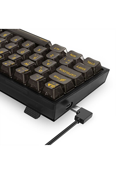 Redragon K617 RGB Fizz Şeffaf Siyah Kablolu Mekanik 61 Tuşlu Türkçe Oyuncu Klavyesi