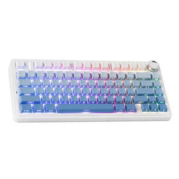 Aula F75 Leobog Reaper Switch RGB Kablosuz Hotswap Mavi Mekanik Gaming Klavye