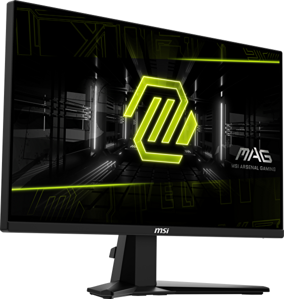 MSI MAG 255XF 24.5