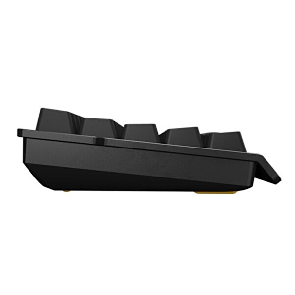 Wooting (WK3-US2-L60-102) 60HE+ ANSI Lekker L60 Linear Manyetik Switch Gaming Klavye