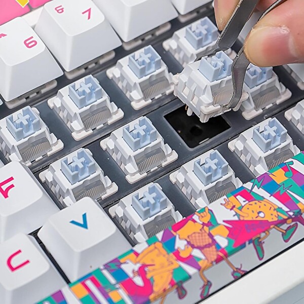 Aula Leobog Barbie Lineer 100 Adet Mekanik Switch