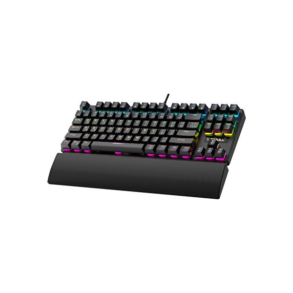 Apex THL-KB-APX540S Kablolu Mekanik Gaming Klavye - 87 Tuş 26 Anti Ghosting 17 LED Modu USB Türkçe Q
