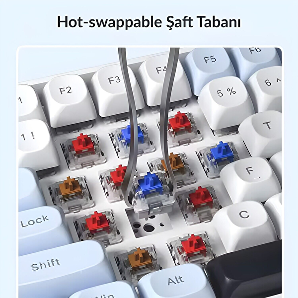 Aula S100 Pro RGB Mekanik Hot Swap Brown Switch Mavi Kablosuz Gaming Klavye