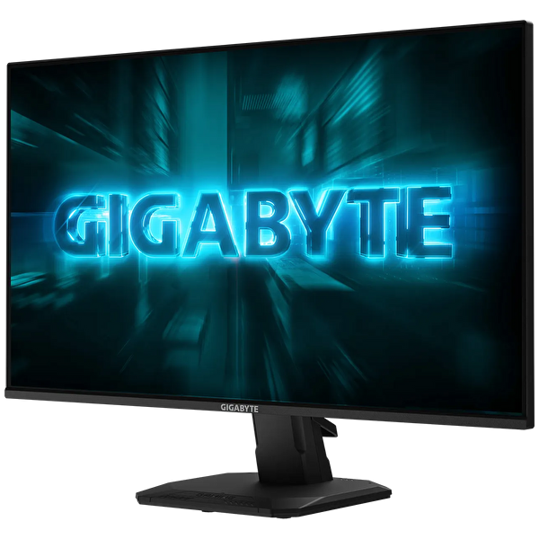 Gigabyte GS25F2A 24.5