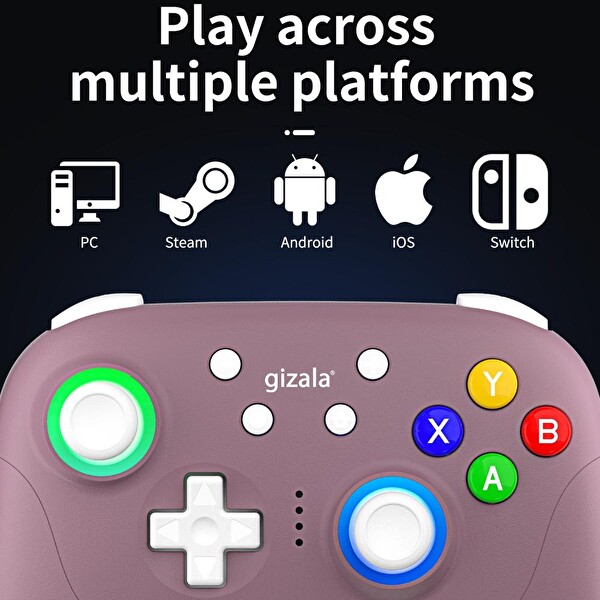 Gizala Switch 2 Hall Effect Triggers Joystick 2.4G Kablosuz Oyun Kontrolcüsü