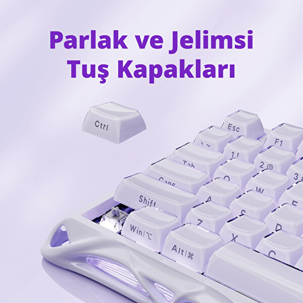 GravaStar Mercury V75 HE Hot-Swappable Rapid Trigger 8000Hz 0.125ms Kablolu Hall Effect Manyetik Switch Gaming Klavye Purple