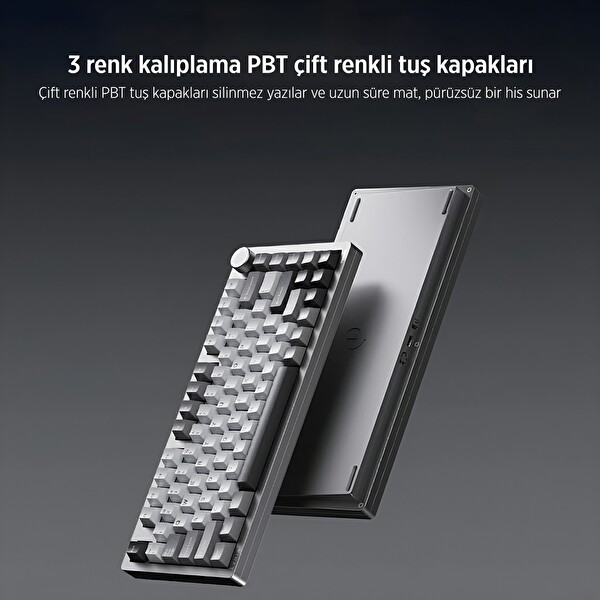 Philips Evnia SPK8618UPRH HotSwap Makrolu 3 Modlu Metal Gaming Oyuncu Klavyesi Mor