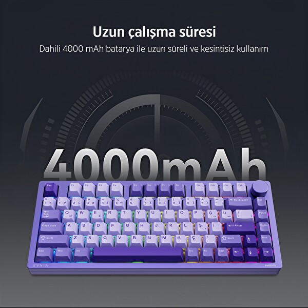 Philips Evnia SPK8618UPRH HotSwap Makrolu 3 Modlu Metal Gaming Oyuncu Klavyesi Mor