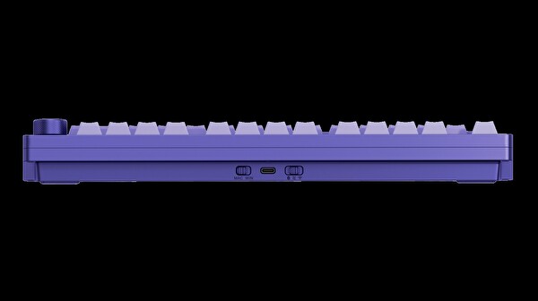 Philips Evnia SPK8618UPRH HotSwap Makrolu 3 Modlu Metal Gaming Oyuncu Klavyesi Mor