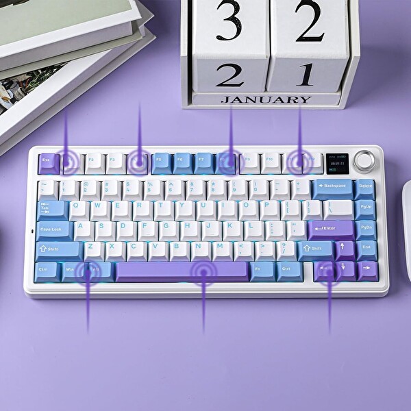 Aula F75 Max Mekanik Kablosuz ve Kablolu Gaming Oyuncu Klavyesi RGB TKL Reaper Switch Hot Swap Makrolu Mor
