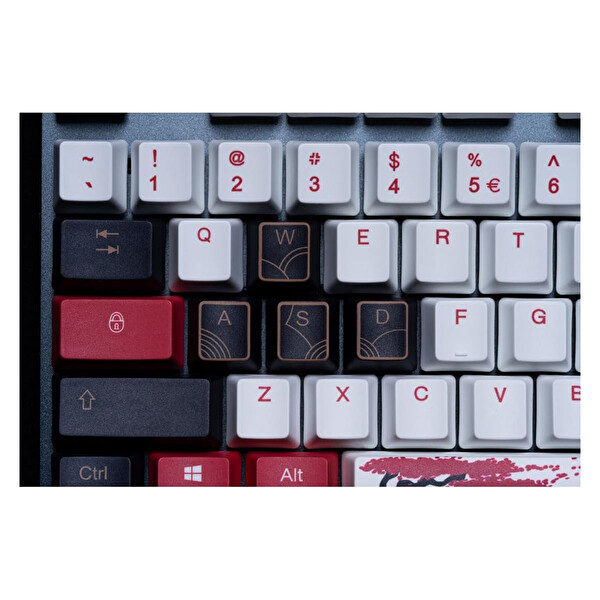 Lexip X Ubisoft Assassin’s Creed Shadows Lisanslı %80 Red Switch RGB İngilizce Gaming Klavye