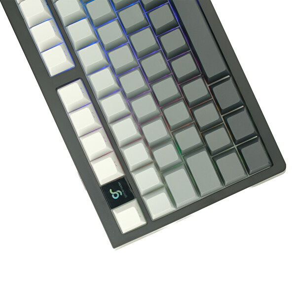 Gameraider Force98 Black Gray Gradient Jixian Red Switch Hotswap RGB Kablosuz Türkçe Mekanik Gaming Klavye