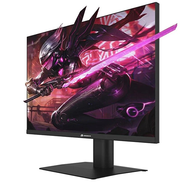 GameBooster GB-2413FF 23.8