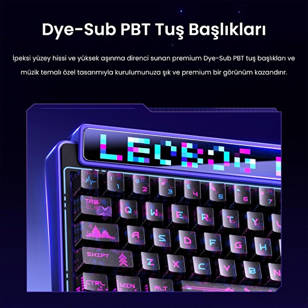 Leobog AMG65 LED Matrix Ekranlı Jasper Anahtarlı RGB Hot Swap Siyah Mekanik Oyuncu Klavyesi