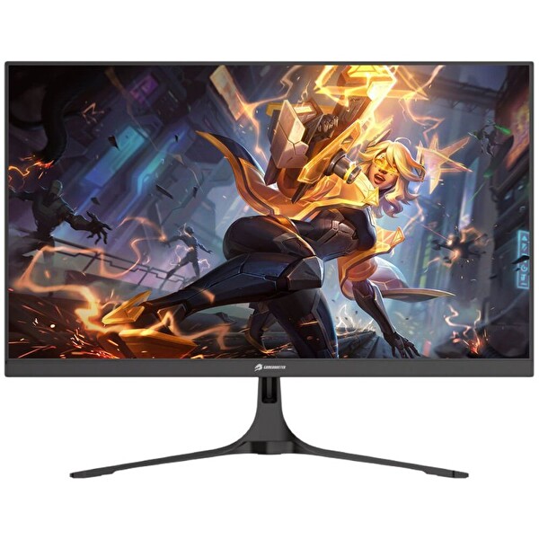 GameBooster GB-2516FF TN 24.5